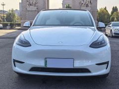 Tesla Model Y 2021 Performance All-Wheel Drive - ფოტო 2