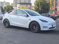 Tesla Model Y 2021 Performance All-Wheel Drive - ფოტო 3