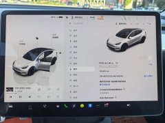 Tesla Model Y 2021 Performance All-Wheel Drive - ფოტო 8