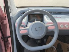 FAW Besturn Xiaoma 222km Lightning Edition - ფოტო 15