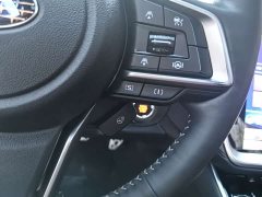 Subaru Outback 2.5i Premier with EyeSight - ფოტო 20