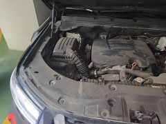 Changan Cannon 2.0T Black Bullet Special Edition GW4C20B - ფოტო 20