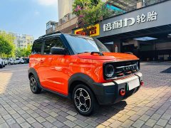 Geely Panda 200km Panda Knight - ფოტო 1