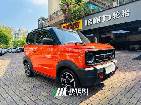 2024 Geely Panda 200km Panda Knight - ავტომობილი ჩინეთიდან