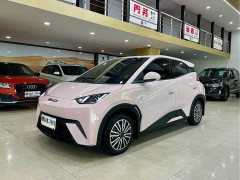 BYD Seagull 2023 Vitality Edition - ფოტო 1