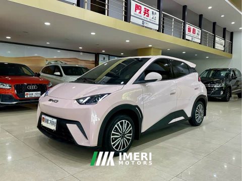2024 BYD Seagull 2023 Vitality Edition - ავტომობილი ჩინეთიდან