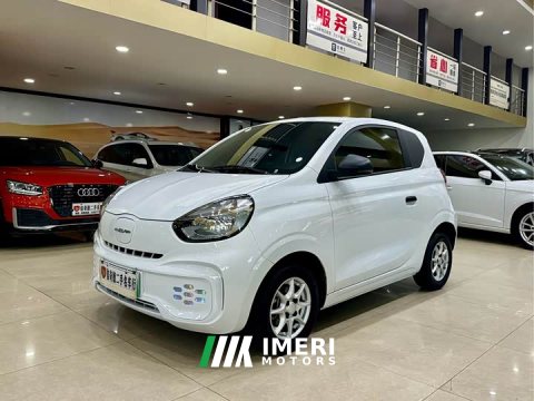 2022 BYD Clever 311km Vitality Pop Edition - ავტომობილი ჩინეთიდან
