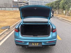 Geely Xingui Xingrui 2.0T Diesel Luxury - ფოტო 14