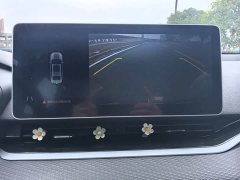 Geely Xingui Xingrui 2.0T Diesel Luxury - ფოტო 16