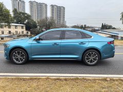 Geely Xingui Xingrui 2.0T Diesel Luxury - ფოტო 8