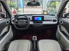 Geely Panda 210km Panda Kart - ფოტო 11