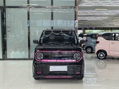 Geely Panda 210km Panda Kart - ფოტო 2