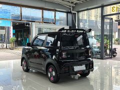 Geely Panda 210km Panda Kart - ფოტო 5