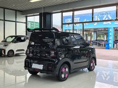 Geely Panda 210km Panda Kart - ფოტო 7