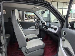 Geely Panda 210km Panda Kart - ფოტო 9
