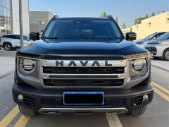 Great Wall Dachshund 2026 1.5T DCT Border Collie Edition - ფოტო 2