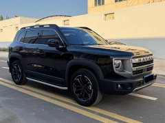 Great Wall Dachshund 2026 1.5T DCT Border Collie Edition - ფოტო 3