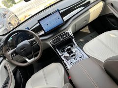BYD Qin PLUS Champion Edition DM-i 55KM Leading - ფოტო 12