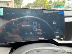 BYD Qin PLUS Champion Edition DM-i 55KM Leading - ფოტო 18