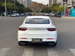 Geely Xingui Xingrui 2.0T Diesel Luxury - ფოტო 8