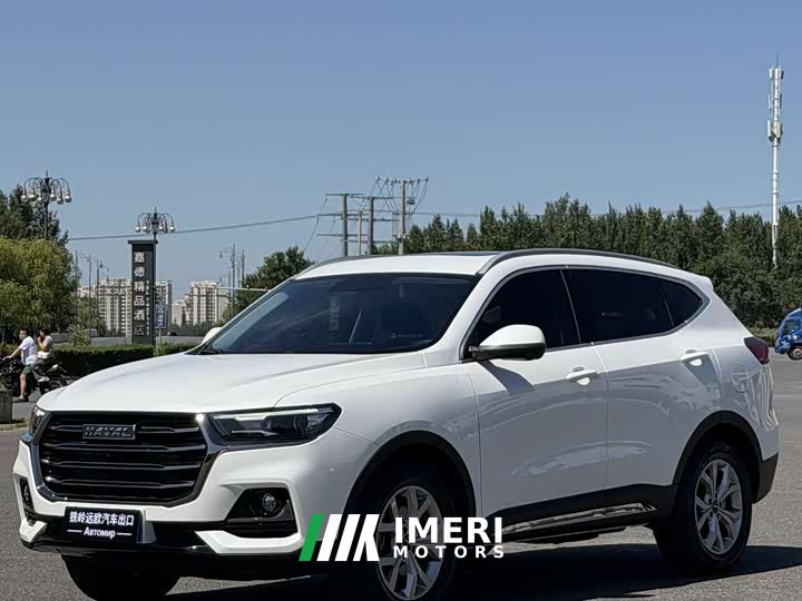 Haval H6 2021 National Trend 1.5T Automatic Champion Edition - ავტომობილი ჩინეთიდან