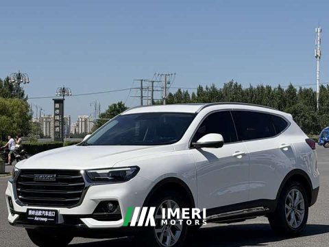 2023 Haval H6 2021 National Trend 1.5T Automatic Champion Edition - ავტომობილი ჩინეთიდან