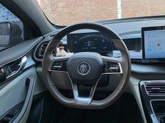 BYD Qin Plus Champion Edition DM-i 120KM Exceed - ფოტო 15