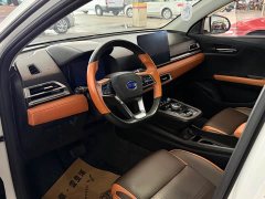 BYD e2 Luxury - ფოტო 6