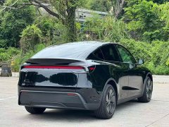 Tesla Model Y Rear-Wheel Drive - ფოტო 14