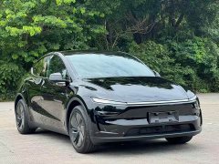 Tesla Model Y Rear-Wheel Drive - ფოტო 3