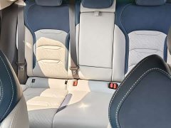 Geely Xingui Xingrui 2.0T Diesel Premium - ფოტო 10