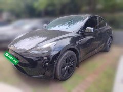 Tesla Model Y Rear-Wheel Drive - ფოტო 1
