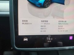 Tesla Model Y Rear-Wheel Drive - ფოტო 8
