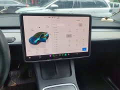 Tesla Model Y Rear-Wheel Drive - ფოტო 9