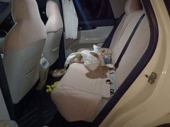 Geely Xing Yuan 310km Dream Edition - ფოტო 13