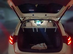 Geely Xing Yuan 310km Dream Edition - ფოტო 15
