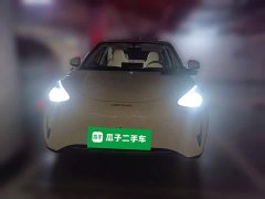 Geely Xing Yuan 310km Dream Edition - ფოტო 2