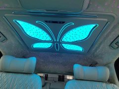 Buick GL8 ES Luxe 653T Comfort - ფოტო 20