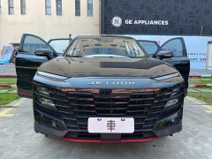 Jetour Jietu Dasheng 1.6T DCT King SPORT - ფოტო 12
