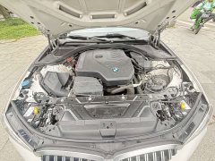 BMW 3 Series 320Li M Sport Package - ფოტო 15