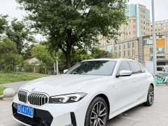 BMW 3 Series 320Li M Sport Package - ფოტო 3