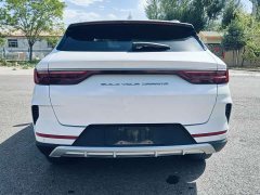 BYD Song Plus 2020 1.5T Automatic Flagship Plus - ფოტო 4