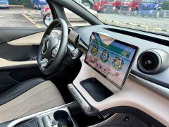 BYD Dolphin 420km Fashion Edition - ფოტო 12