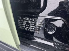 Tank 300 2.0T Conqueror - ფოტო 14