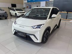BYD Seagull Freedom Edition - ფოტო 1