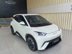 BYD Seagull Freedom Edition - ფოტო 3