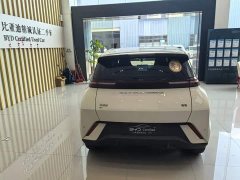 BYD Seagull Freedom Edition - ფოტო 5