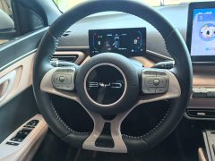 BYD Seagull Freedom Edition - ფოტო 9