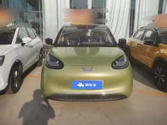 Wuling Binguo 2023 333km Lingxi Connected Edition - ფოტო 2