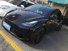 Tesla Model Y Rear-Wheel Drive - ფოტო 1